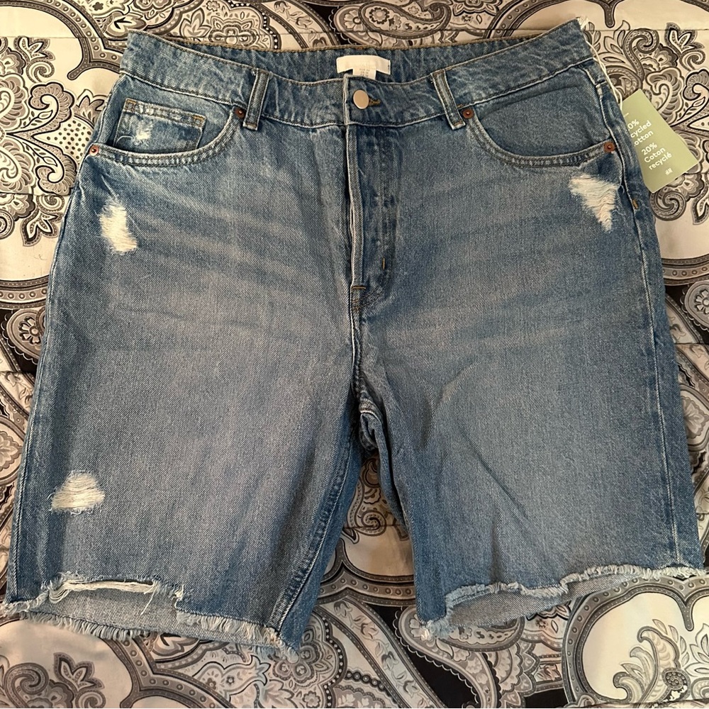 h&m | 5 button fly denim shorts |